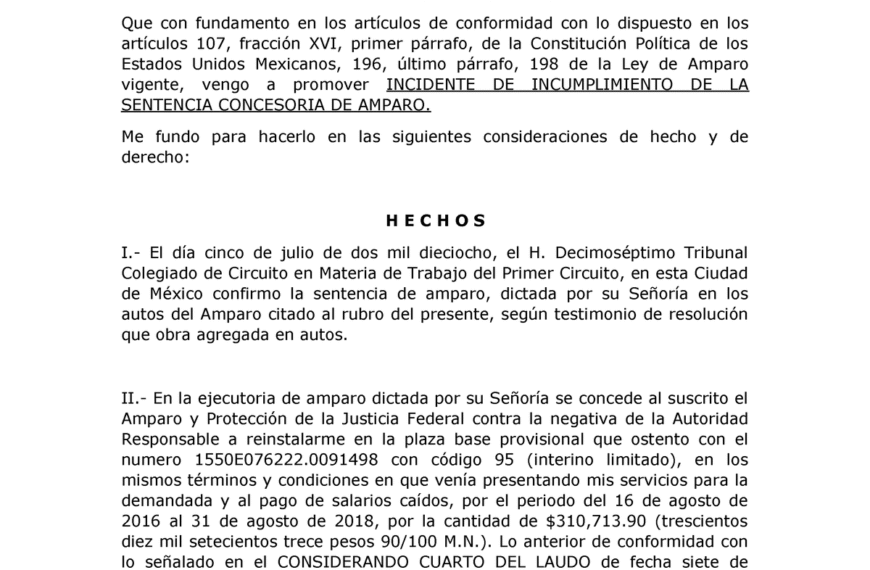 Desacato Judicial: El Gobierno de Trump en Problemas Legales