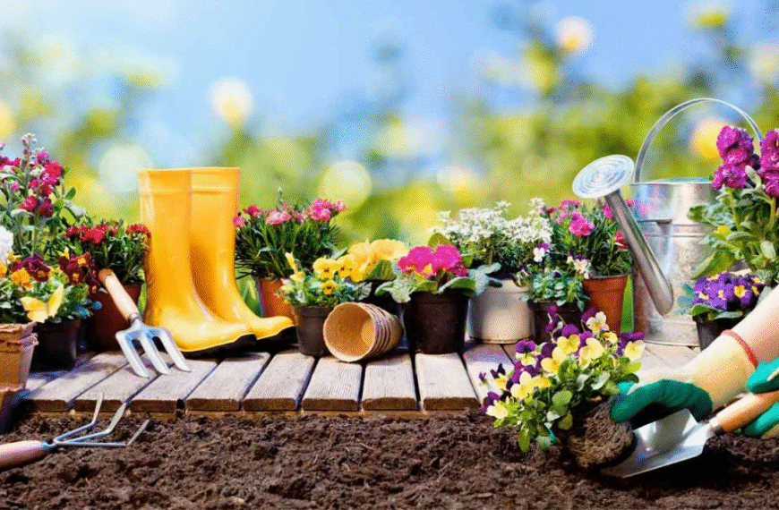 Consejos de jardinería para un hogar verde y saludable