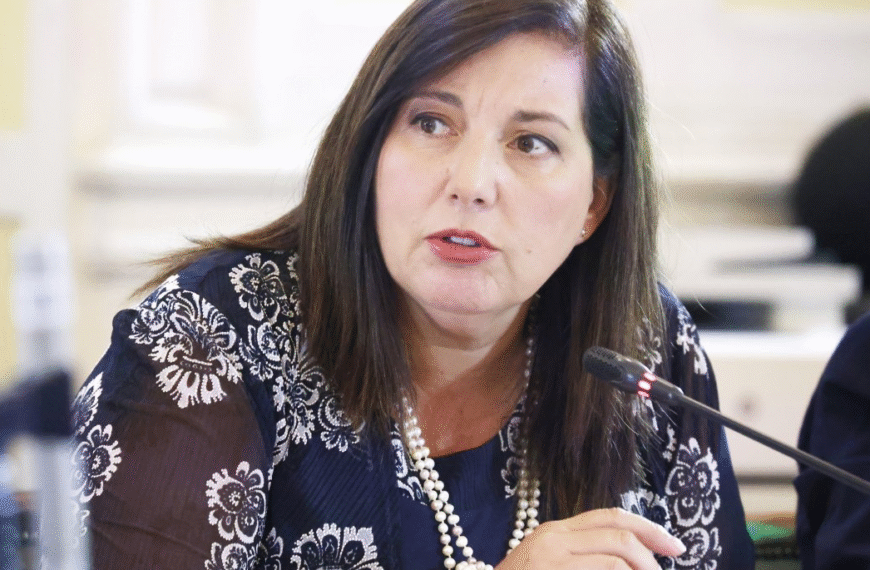Candidatura presidencial Paulina Vodanovic es confirmada