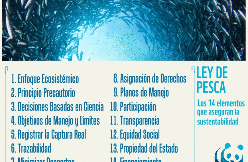 Ley de Pesca: Evelyn Matthei critica datos erróneos del gobierno