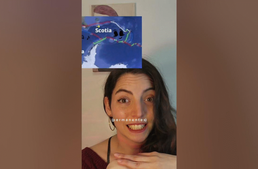 Sismo en Magallanes: Diputada cuenta su experiencia