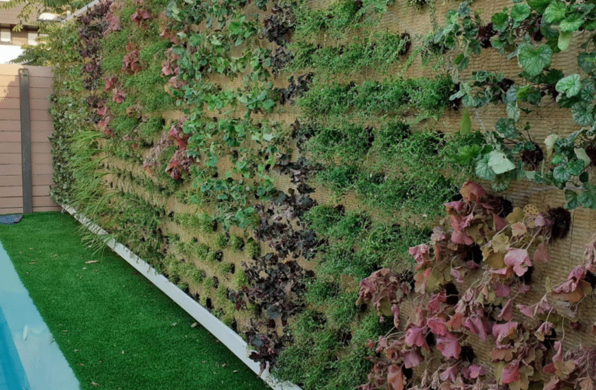 Jardines verticales: beneficios y cómo crearlos