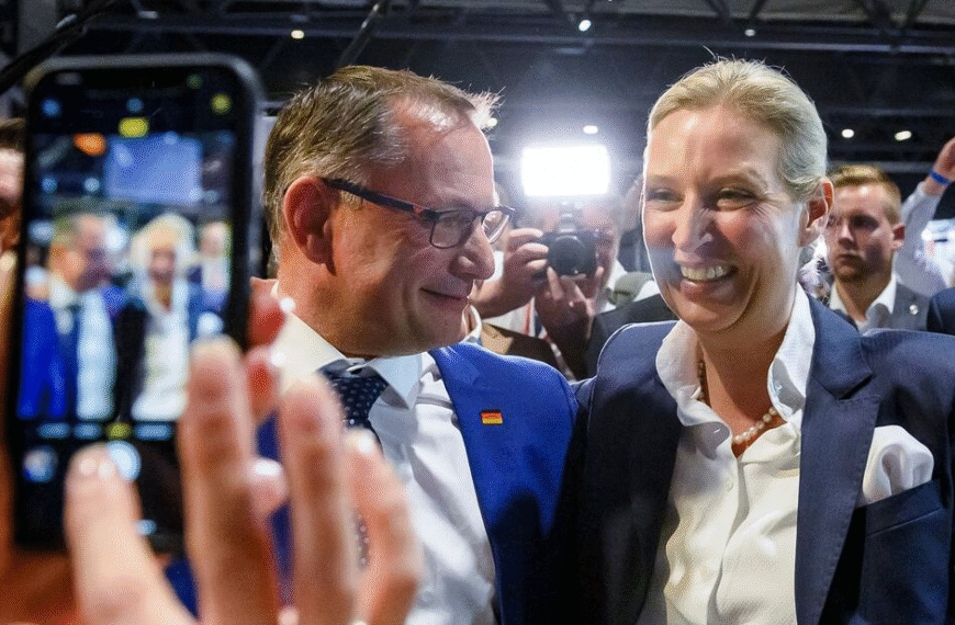 AfD organización extremista: análisis de la BfV