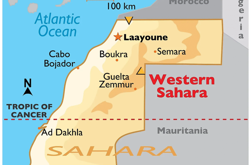 Sahara Occidental: La lucha del pueblo saharaui y la UE