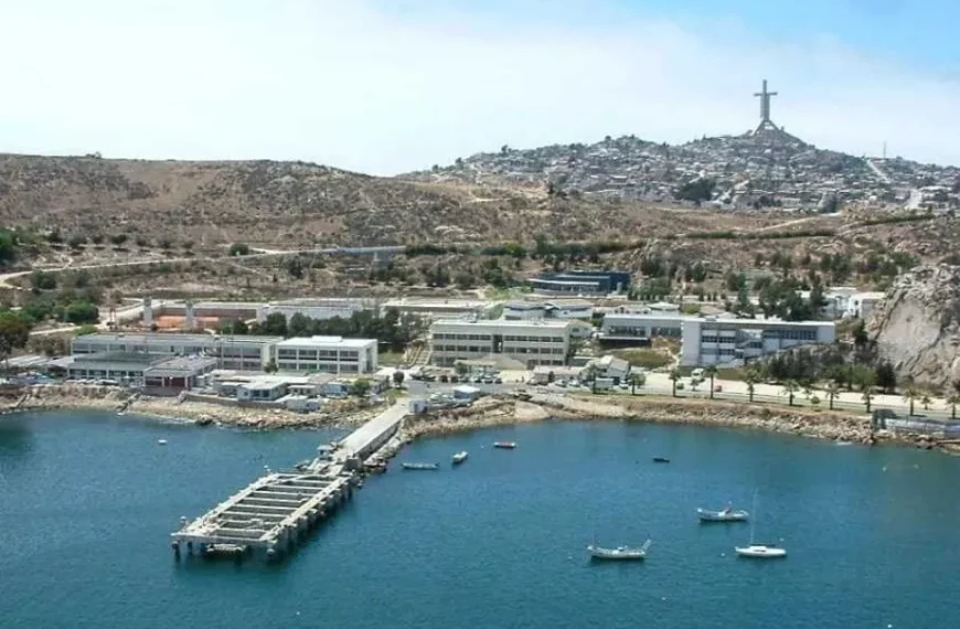 Biodiversidad Marina: Participación de UCN en la ONU