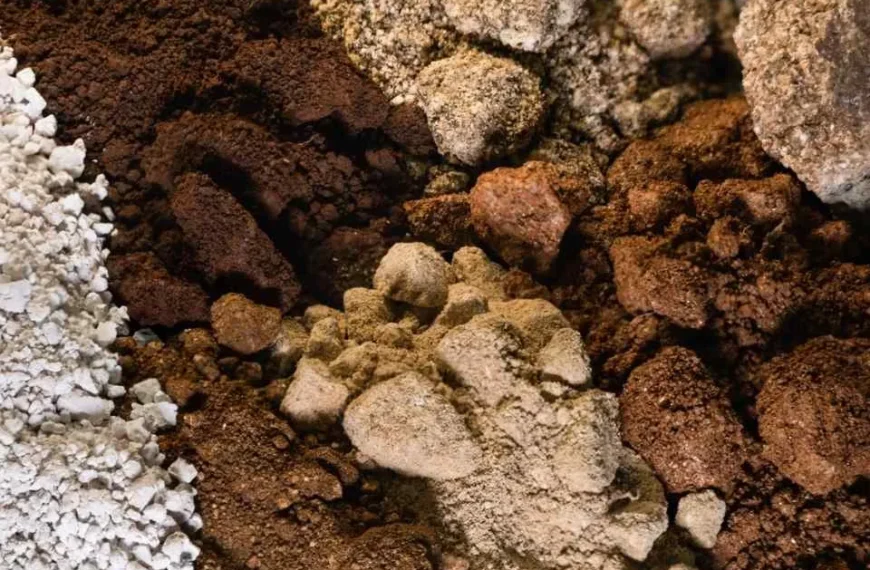 Planta Piloto de Tierras Raras: Innovación y Sostenibilidad
