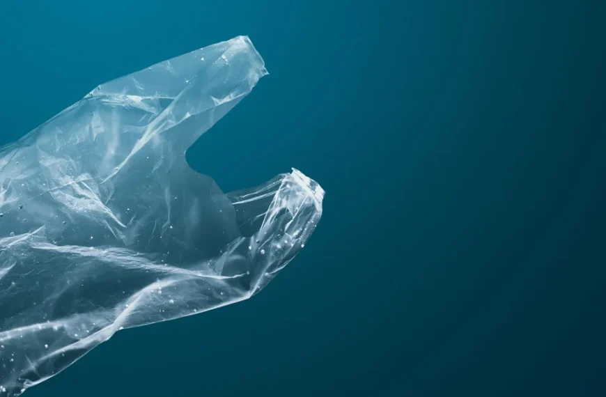 Consumo Sostenible: Claves para Elegir con Conciencia