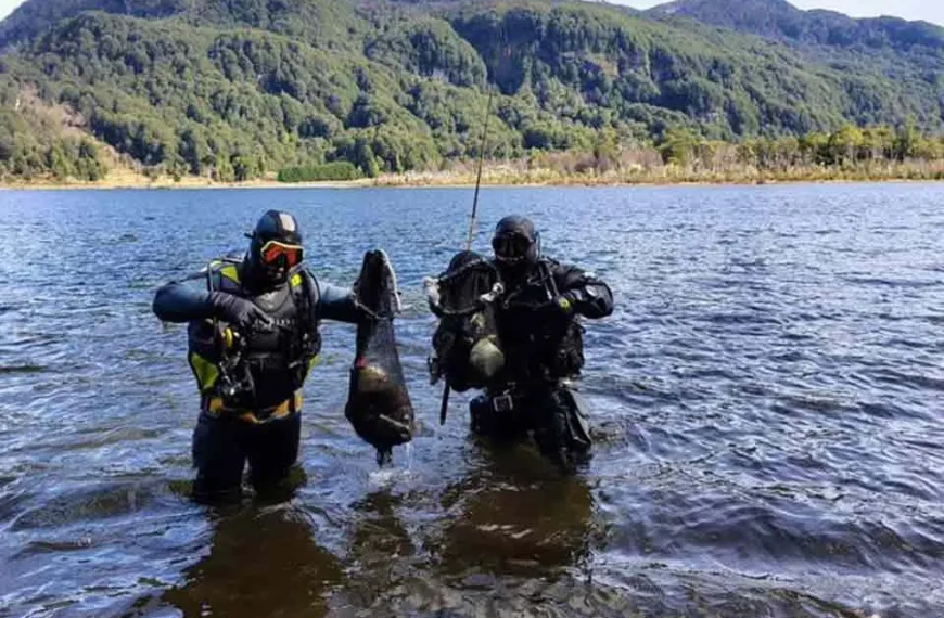 Limpieza de los ríos de la Patagonia: impacto positivo