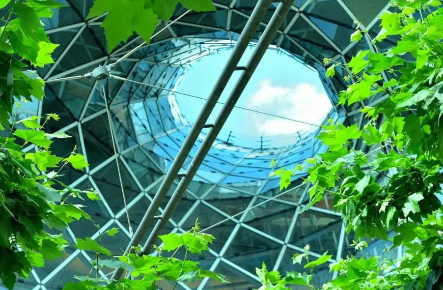 Sostenibilidad Ambiental en Construcción: ENAMAC 2025