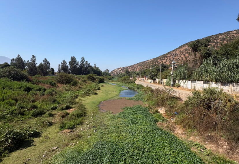 Evaluarán declarar humedal urbano el sector entre Nogales y El Melón en la Región de Valparaíso