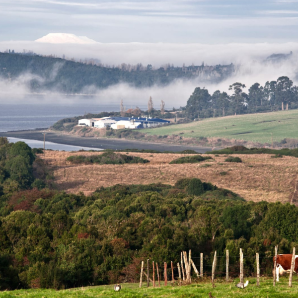 Tineo-Nueva Ancud: La “pieza faltante” de la transición energética del sur
