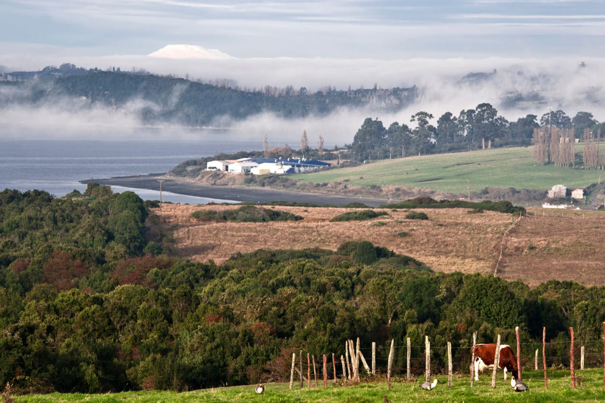 Tineo-Nueva Ancud: La “pieza faltante” de la transición energética del sur