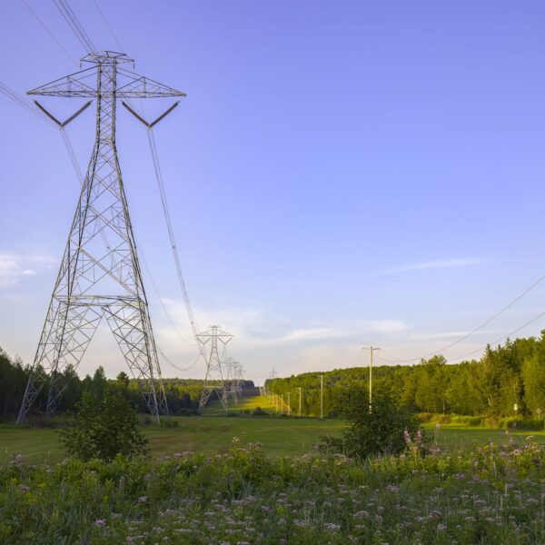 Detrás de una línea eléctrica: las decisiones que hacen posible Tineo-Nueva Ancud